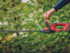 Кусторез аккумуляторный Einhell GC-CH 18/50 Li - Solo (3410945)