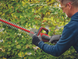 Кусторез аккумуляторный Einhell GC-CH 18/50 Li - Solo (3410945)
